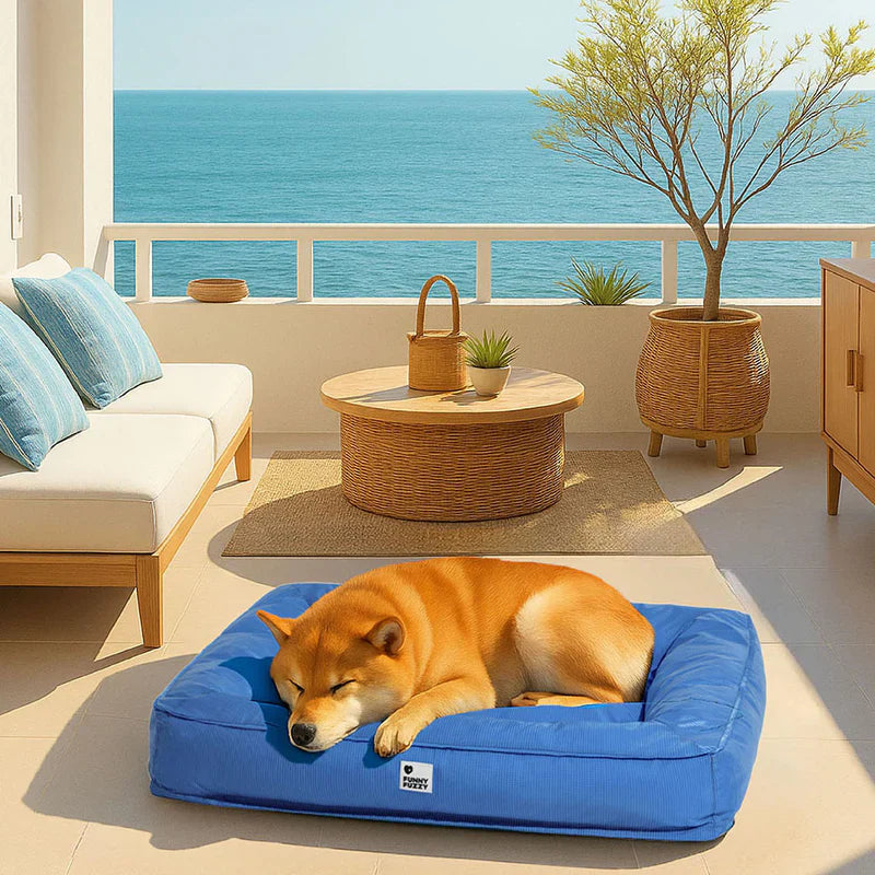 CAMA ORTOPÉDICA RELAXPE ANTIANSIEDAD PARA MASCOTAS