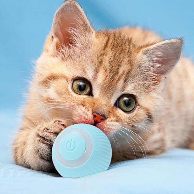 PowerBall: Pelota Inteligente para Gatos - Diversión Interactiva y Estimulación Mental