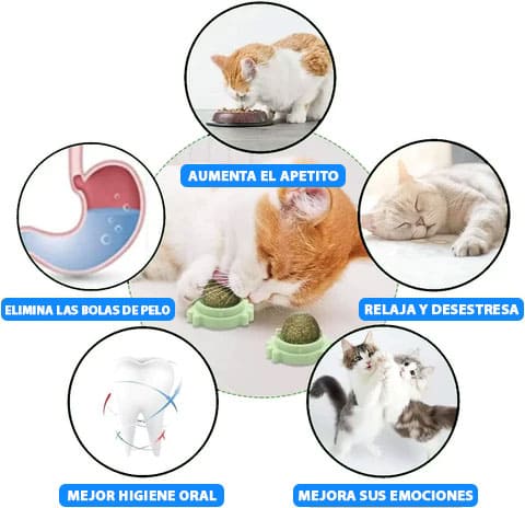 PROMO 2x1 Catnip Ball - Juguete para Gato con Hierba Natural