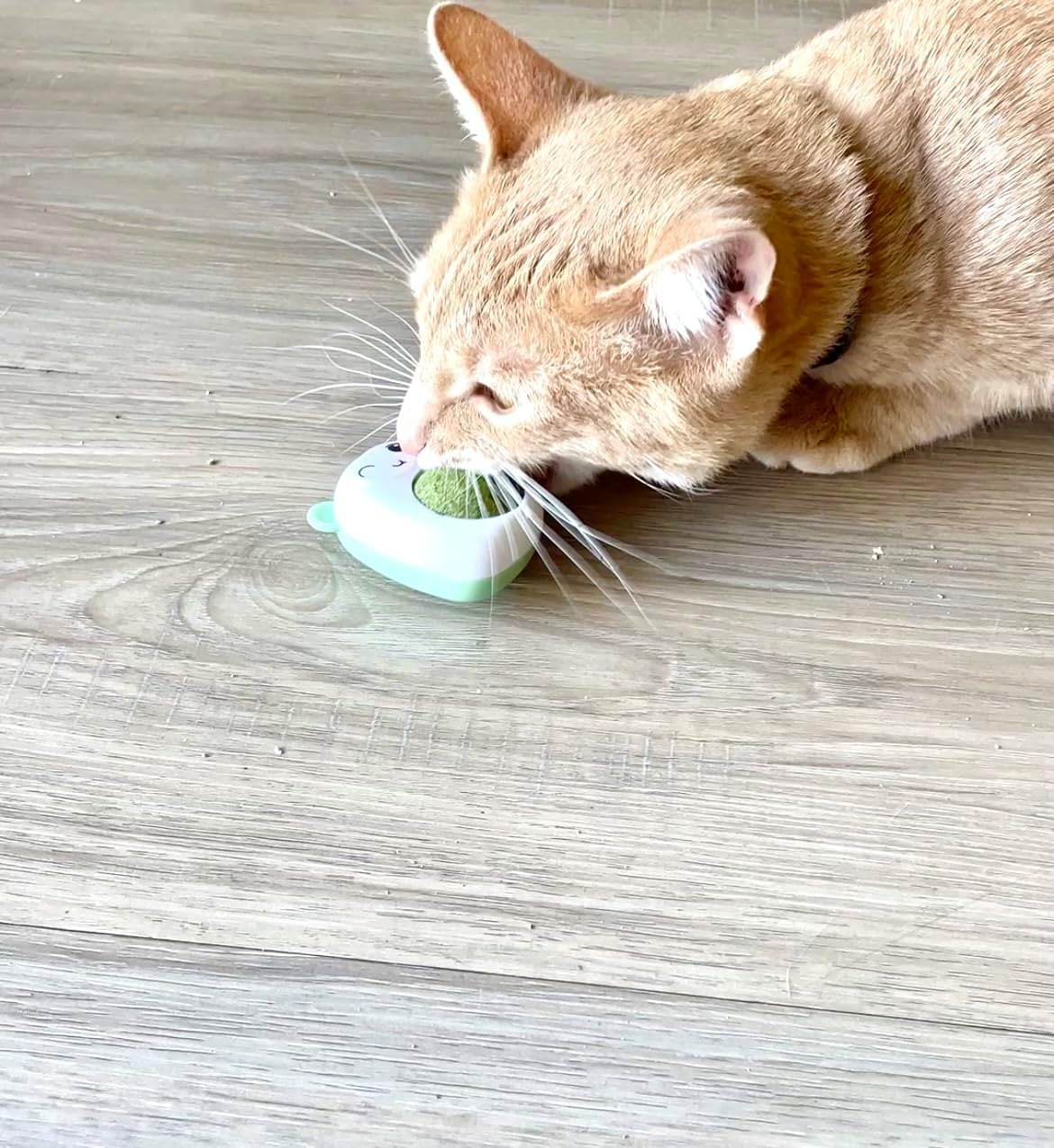 PROMO 2x1 Catnip Ball - Juguete para Gato con Hierba Natural