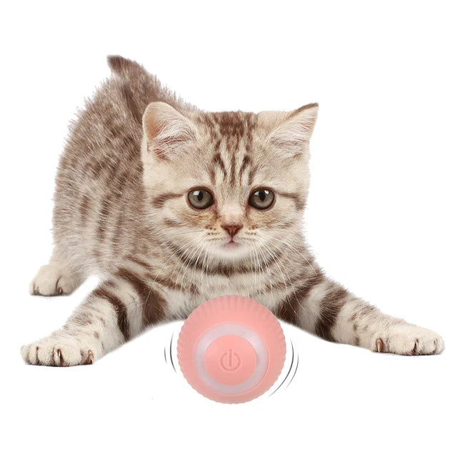 PowerBall: Pelota Inteligente para Gatos - Diversión Interactiva y Estimulación Mental