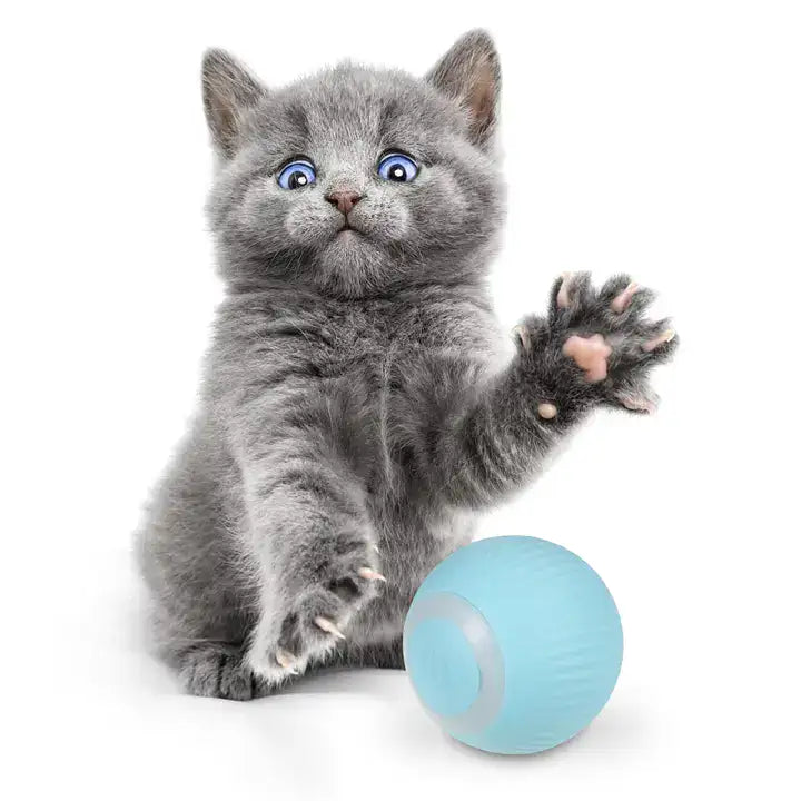 PowerBall: Pelota Inteligente para Gatos - Diversión Interactiva y Estimulación Mental